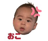 855592208