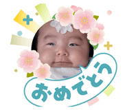 855592306