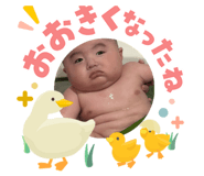 855592316