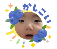 855592326
