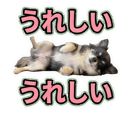 855592479