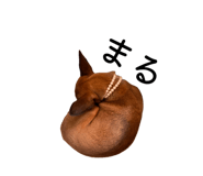 855592849