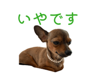 855592851