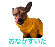 855592854