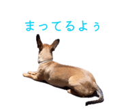 855592862