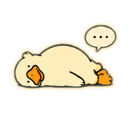 855592944