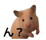 855592979