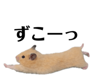 855592982
