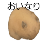 855592983