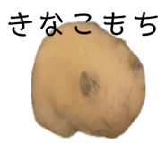 855592984