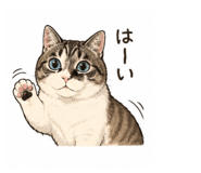 855593020