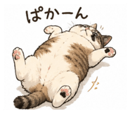 855593022