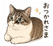 855593024