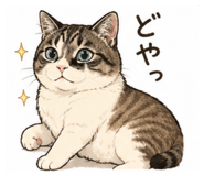 855593027