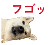 855593575