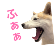 855593578