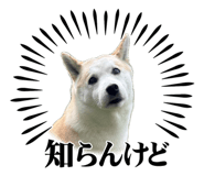 855593579