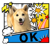 855593581