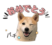 855593583