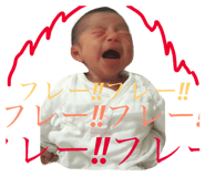 855594323