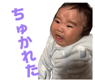 855594432