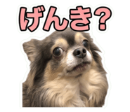 855594626