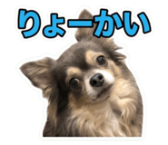 855594630