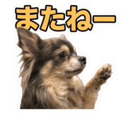 855594631