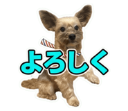 855594637