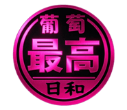 855594916