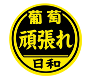 855594918