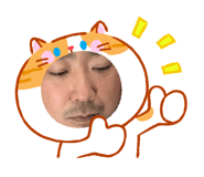 855594951
