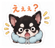 855594979