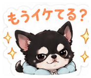 855594986