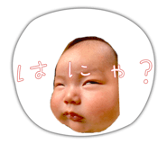 855595044