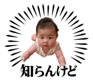 855595048