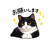 855595066