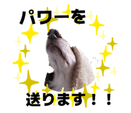 855595153