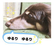 855595165