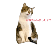 855595190