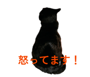 855595192