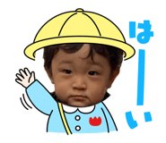 855595380