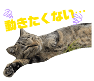 855595512
