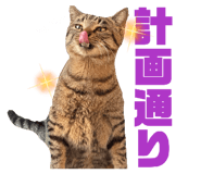 855595535
