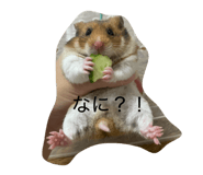 855595610