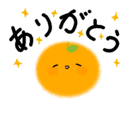 855595654