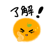 855595656