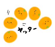 855595657