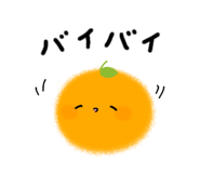 855595660