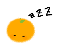 855595661